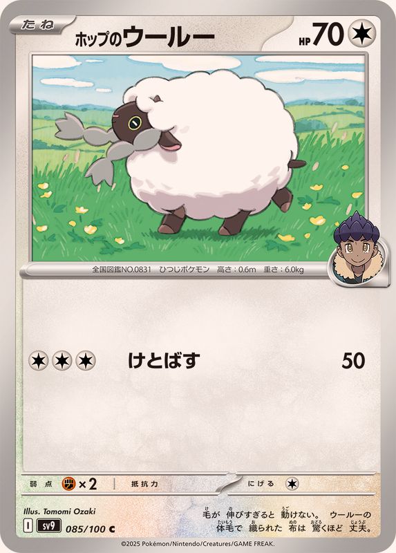 Pokemon Hop's Wooloo【C】 085/100 SV9  Battle Partners Japanese