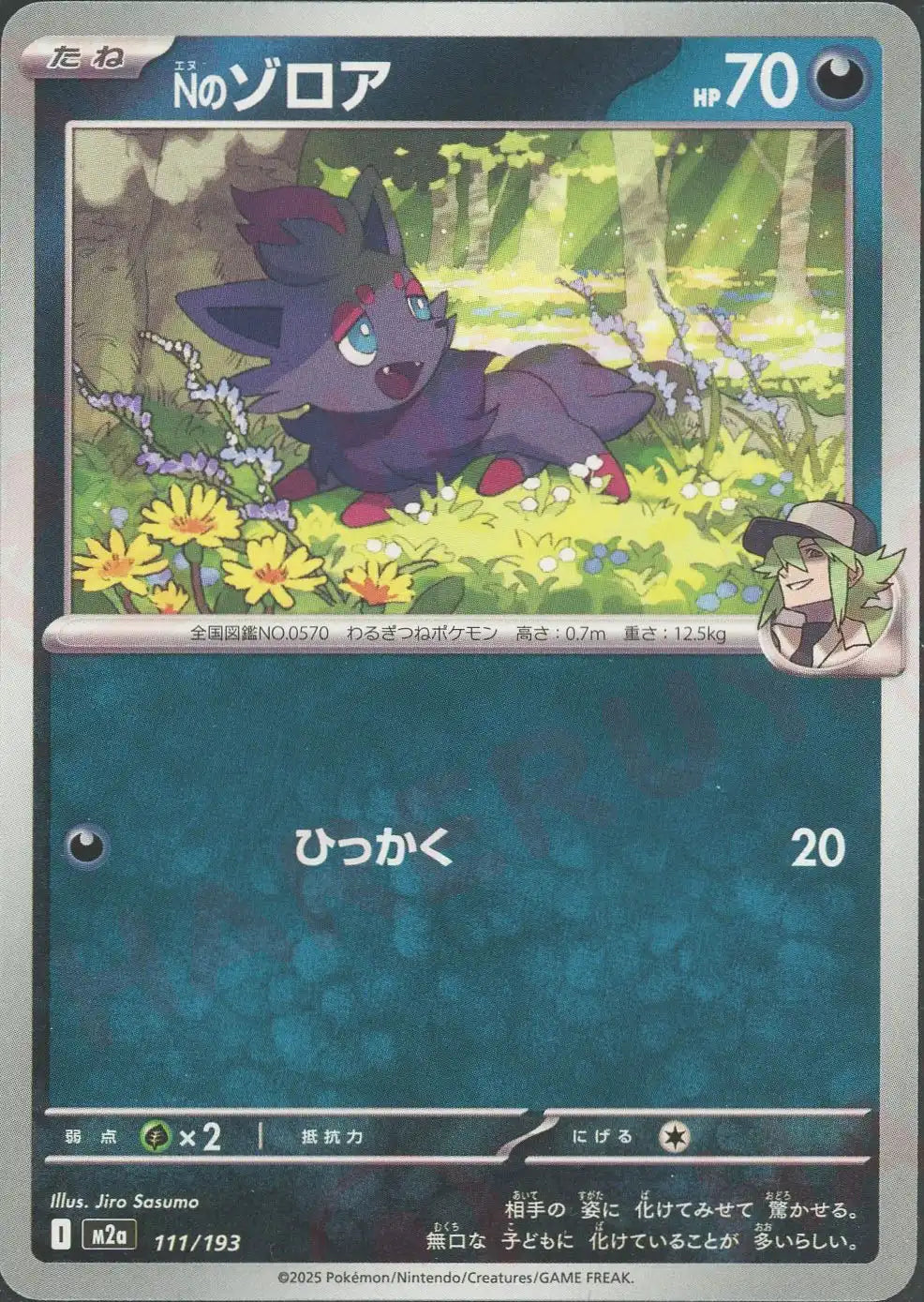Pokemon N's Zorua(-) 111/193 M2a Mega Dream ex