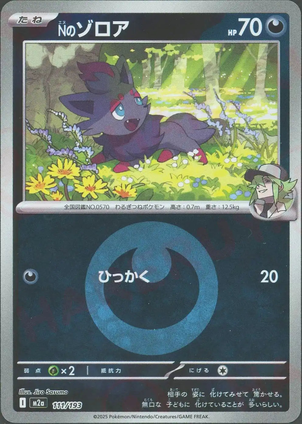 Nのゾロア:エネルギーミラー(-){悪}〈111/193〉