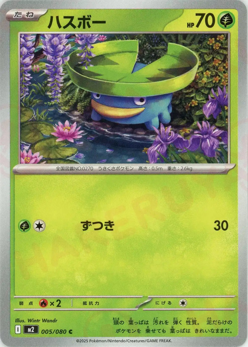 Pokemon Lotad(C) 005/080 M2 Inferuno X Japanese