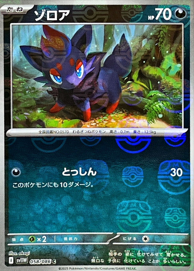 Pokemon Zorua【C】Master Ball Mirror SV11W058/086 Black Bolt & White Flare