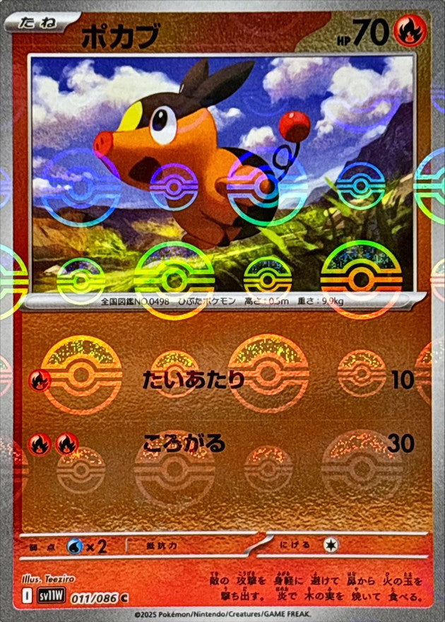 Pokemon Tepig【C】Monster Ball Mirror SV11W011/086 Black Bolt & White Flare