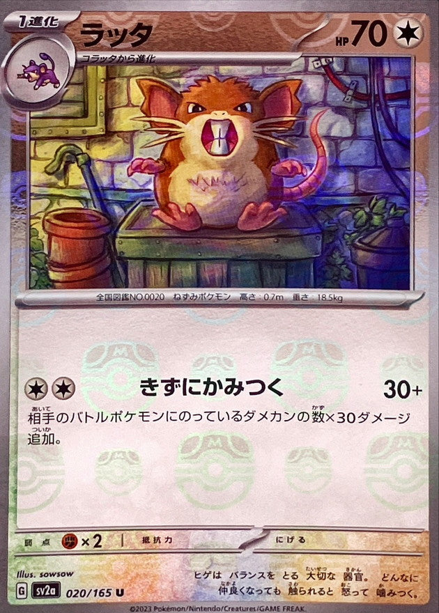 Pokemon Raticate Master Ball Mirror【U】020/165 SV2a 151