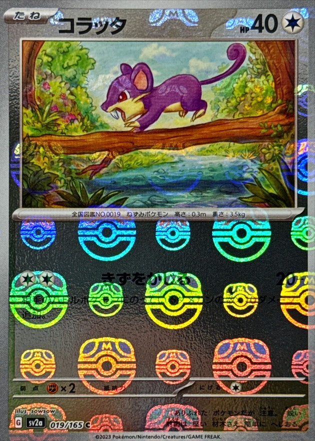 Pokemon Rattata Master Ball Mirror【C】019/165 SV2a 151