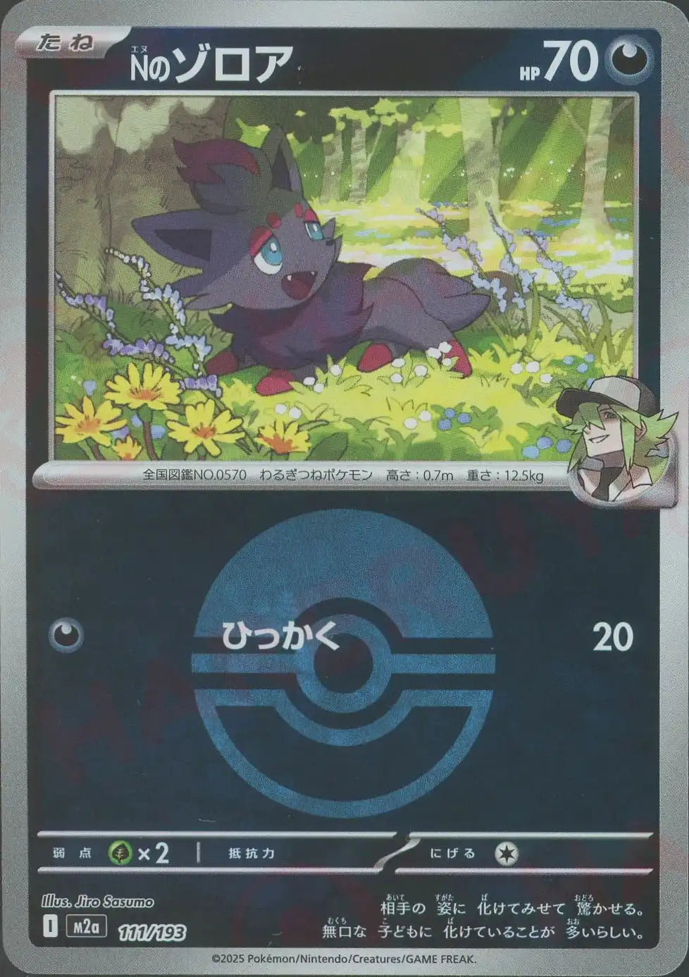 Nのゾロア:ボールミラー(-){悪}〈111/193〉