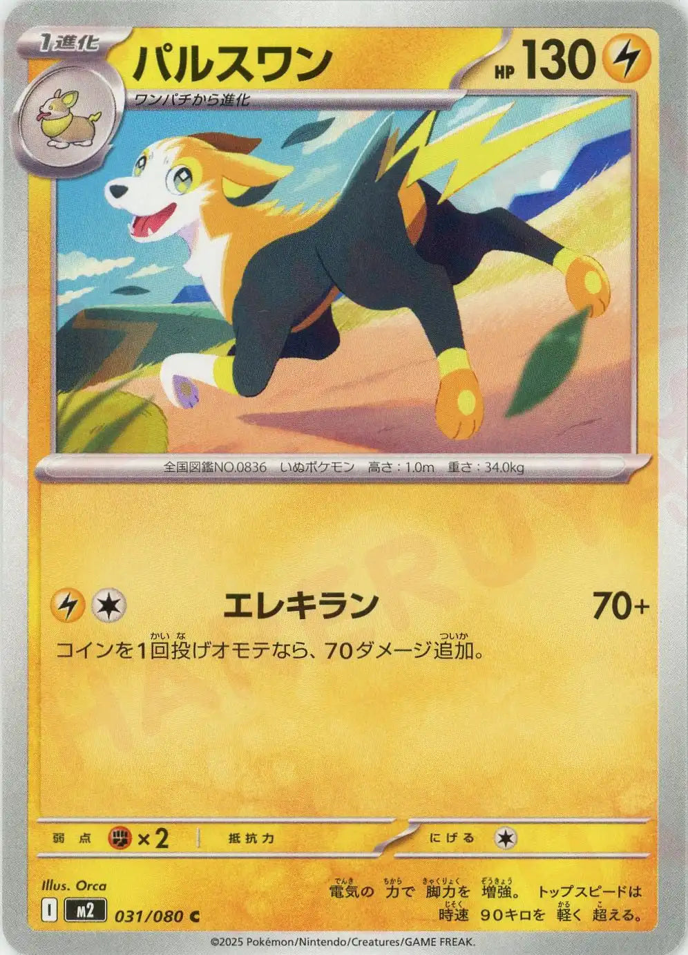 Pokemon Boltund(C) 031/080 M2 Inferuno X Japanese