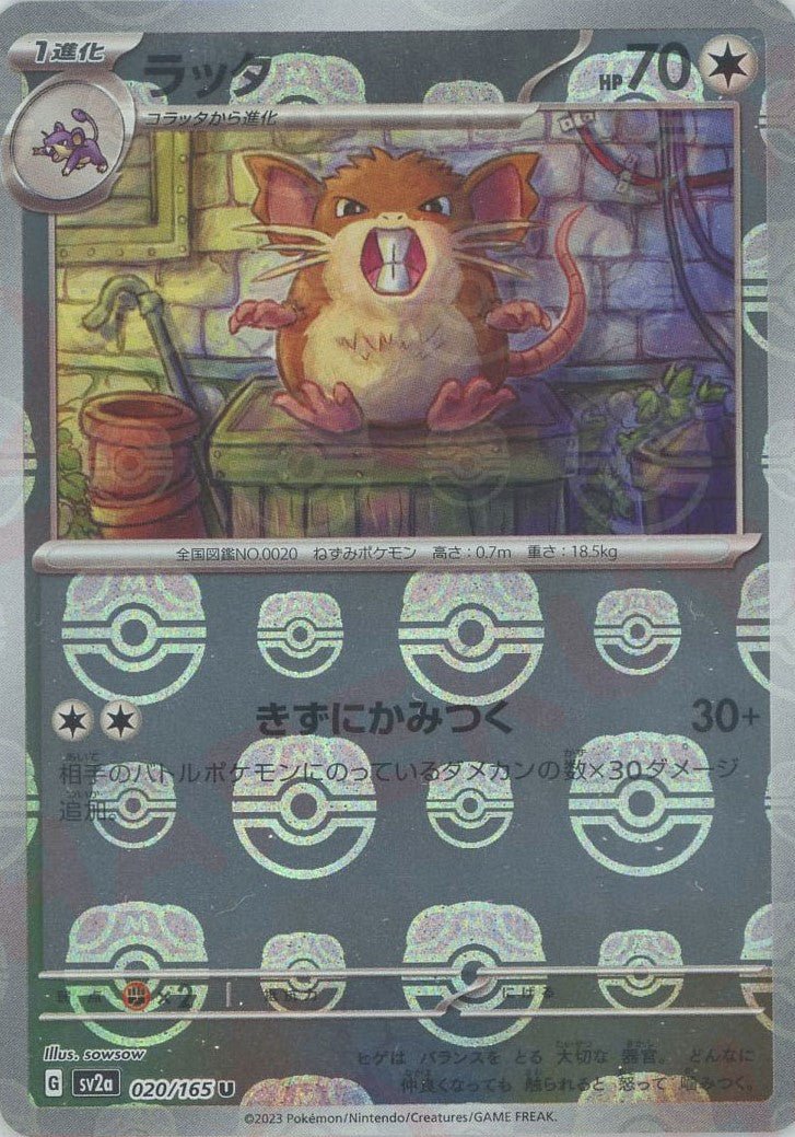 Pokemon Raticate:Master BallMirror(U) 020/165 SV2a 151