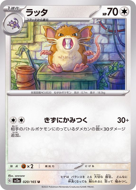 Pokemon Raticate 【U】020/165 SV2a 151