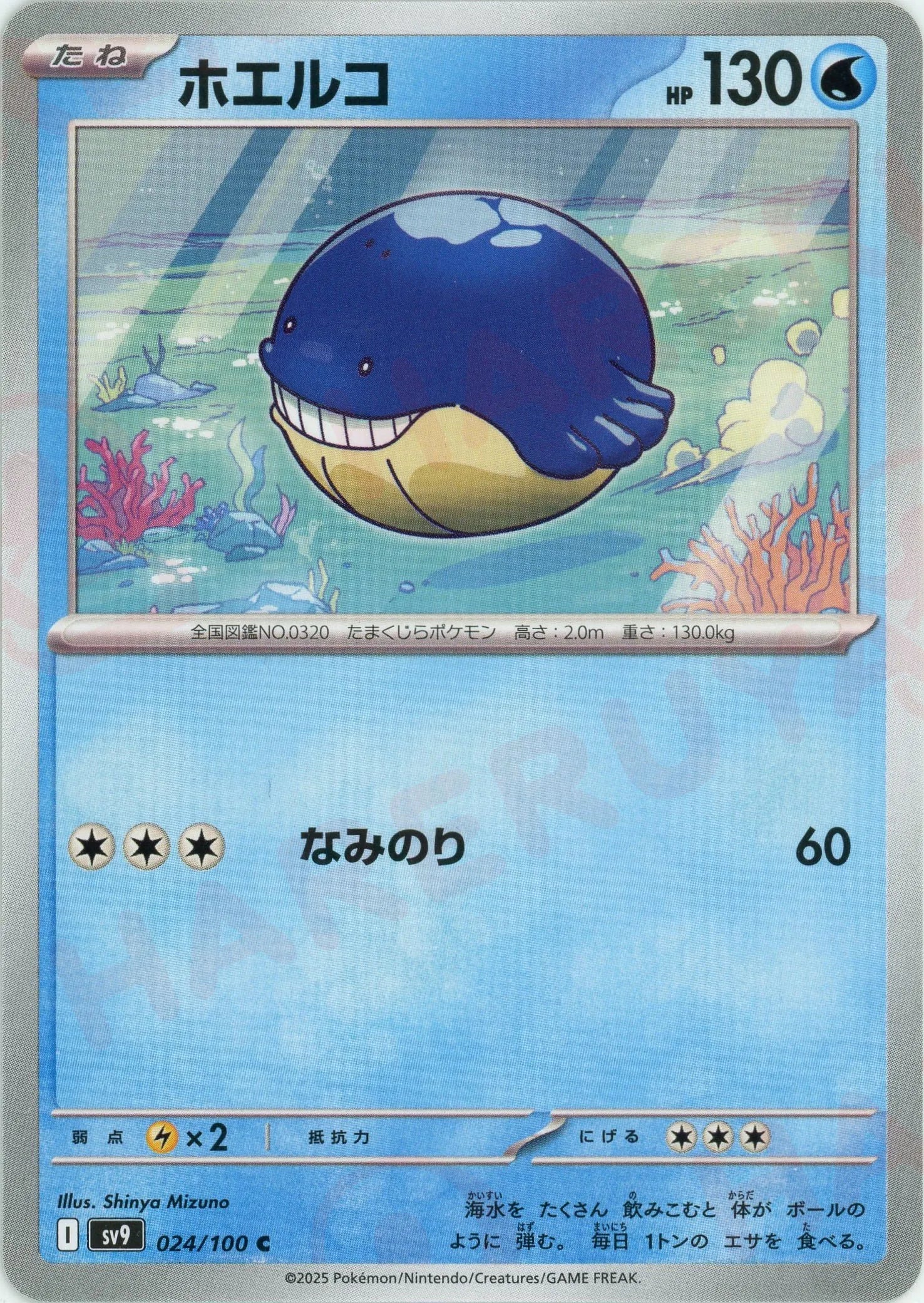 ホエルコ(C){水}〈024/100〉