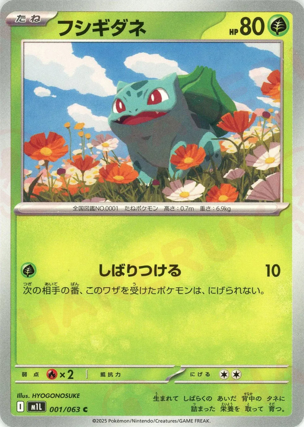 フシギダネ(C){草}〈001/063〉