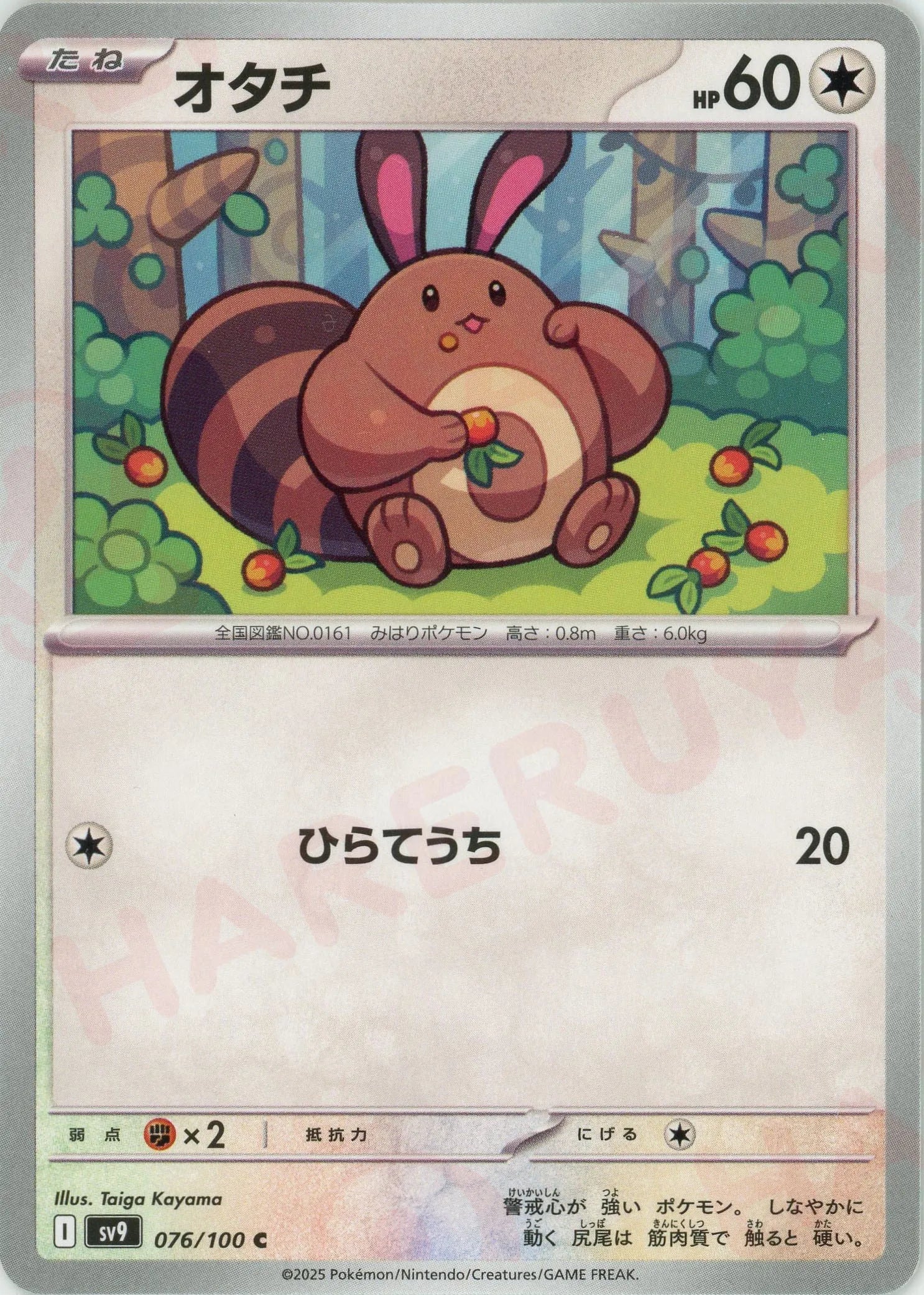 オタチ(C){無}〈076/100〉