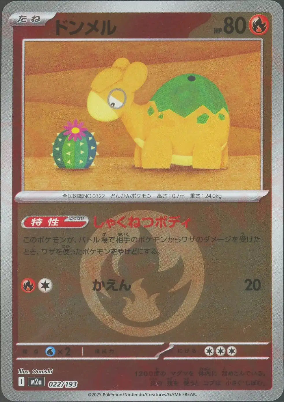 ドンメル:エネルギーミラー(-){炎}〈022/193〉