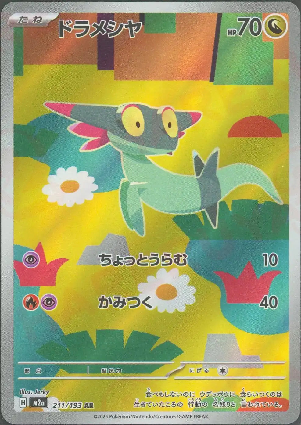 ドラメシヤ(AR){ドラゴン}〈211/193〉