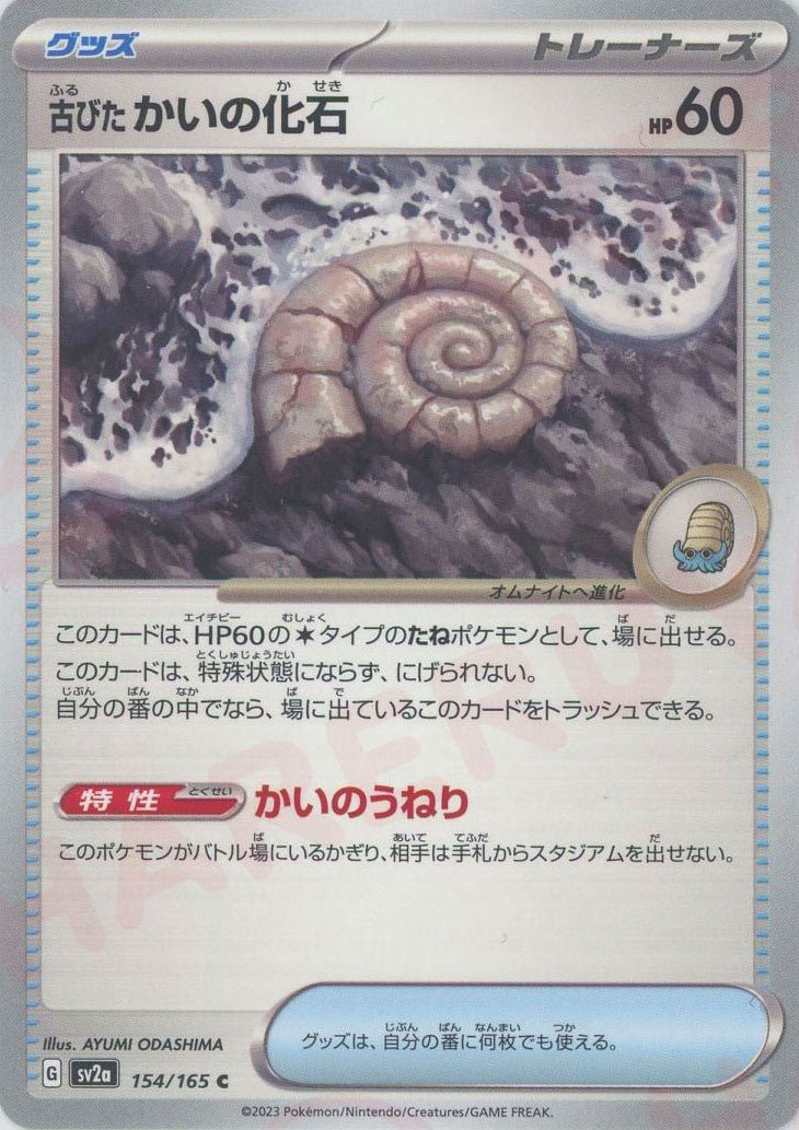 古びたかいの化石(C){グッズ}〈154/165〉