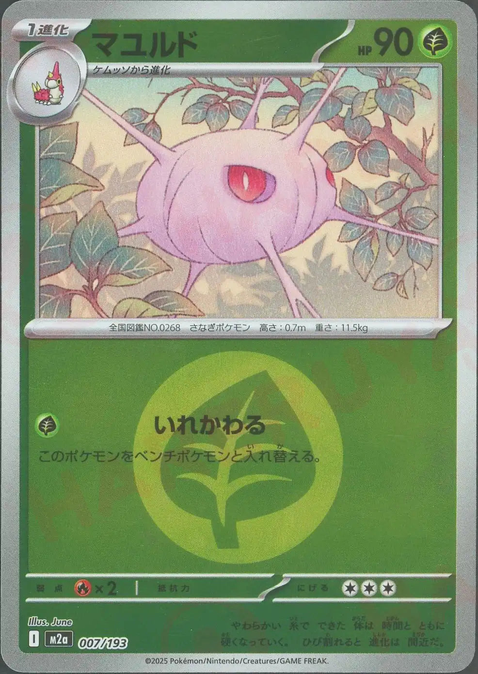 マユルド:エネルギーミラー(-){草}〈007/193〉