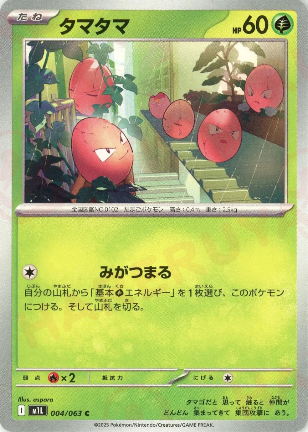 タマタマ(C){草}〈004/063〉