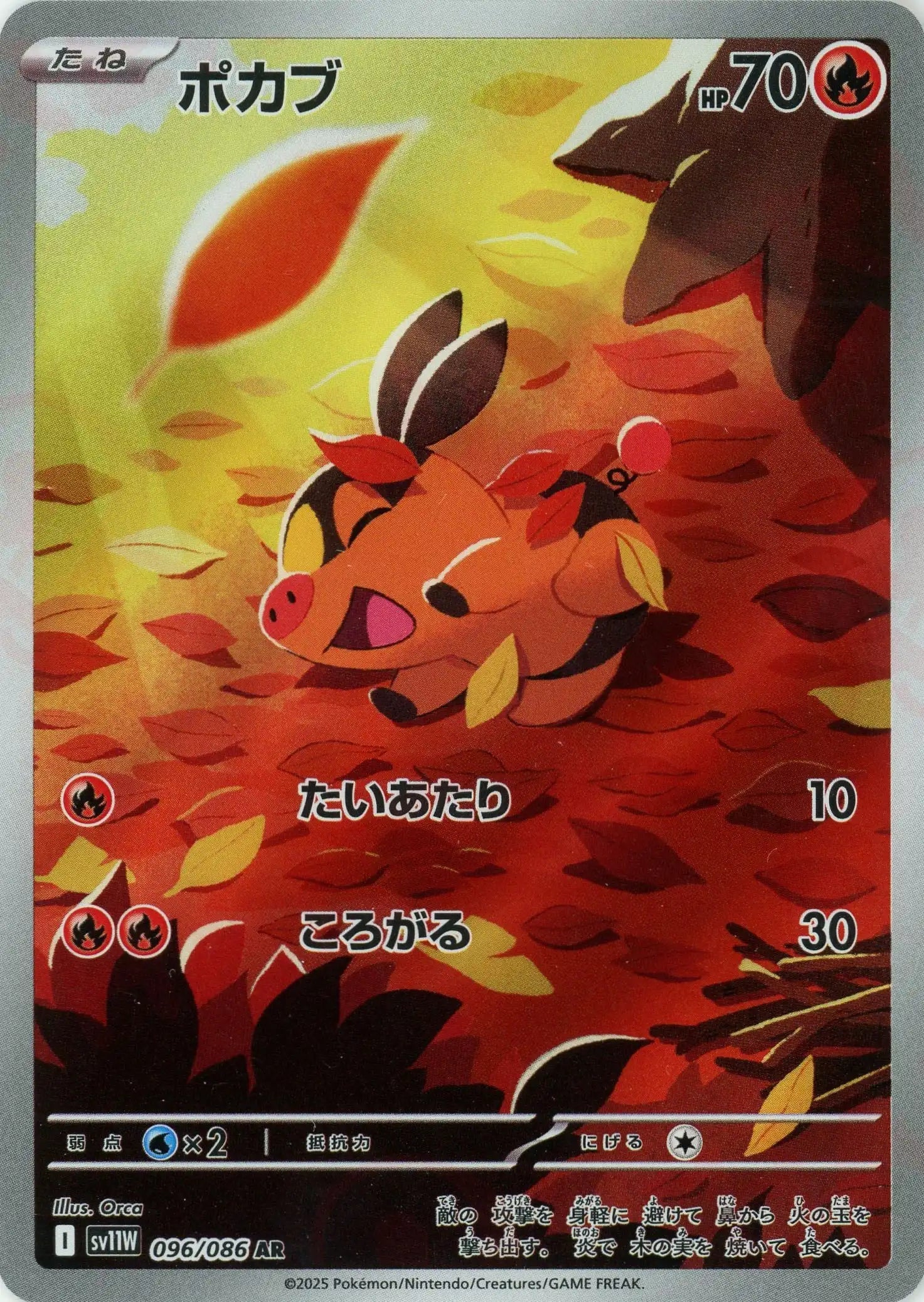 ポカブ(AR){炎}〈096/086〉