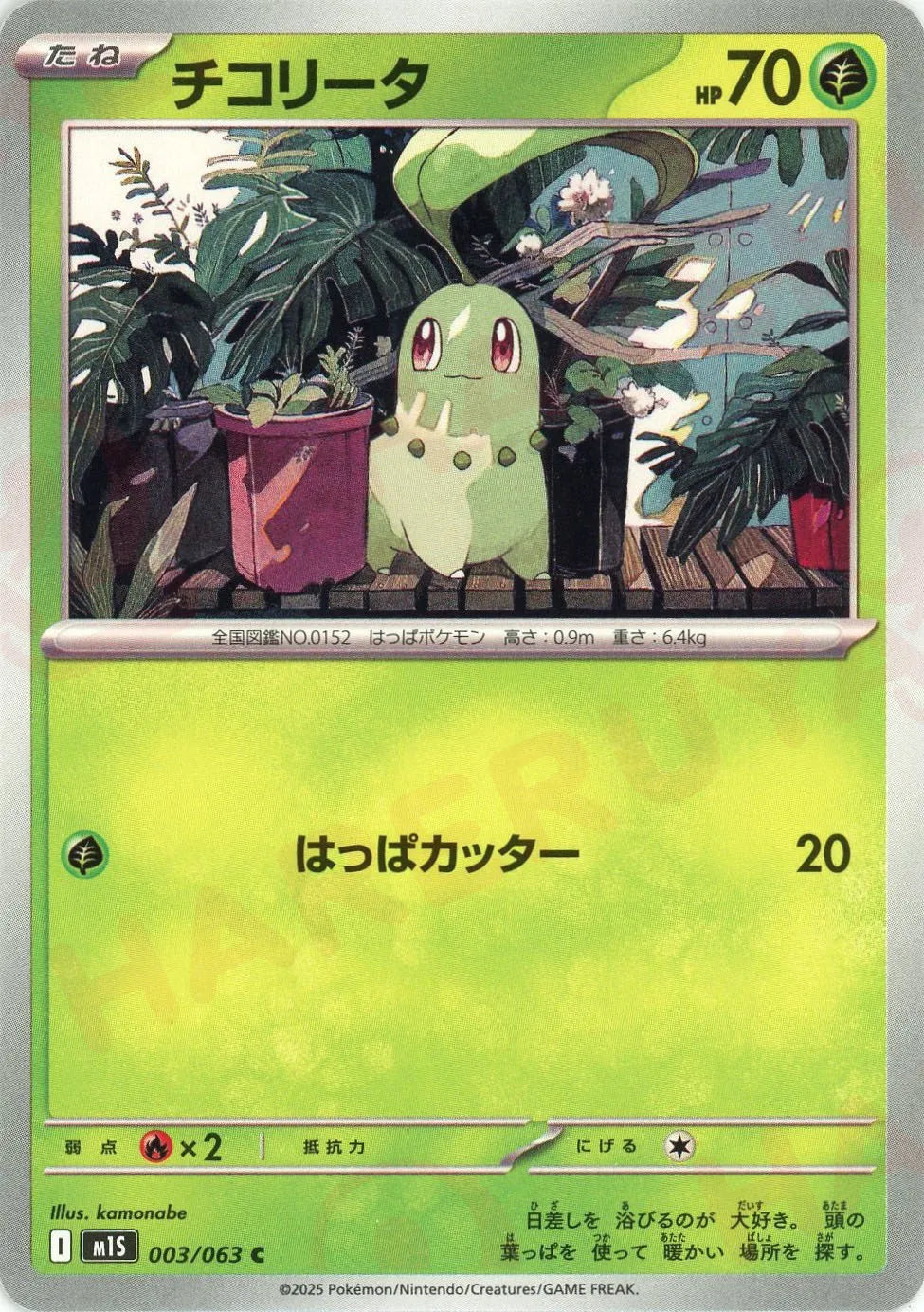 チコリータ(C){草}〈003/063〉