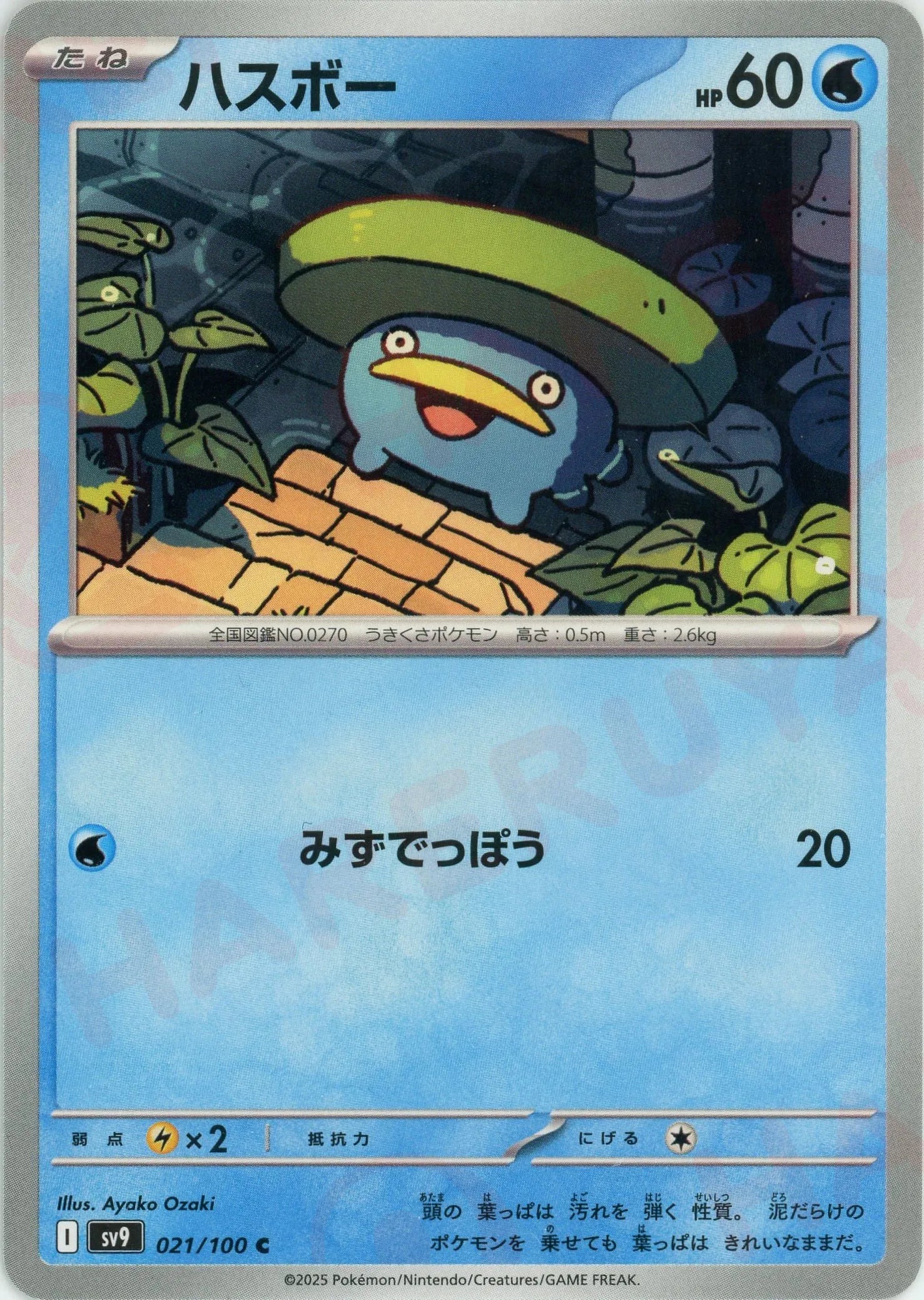 ハスボー(C){水}〈021/100〉