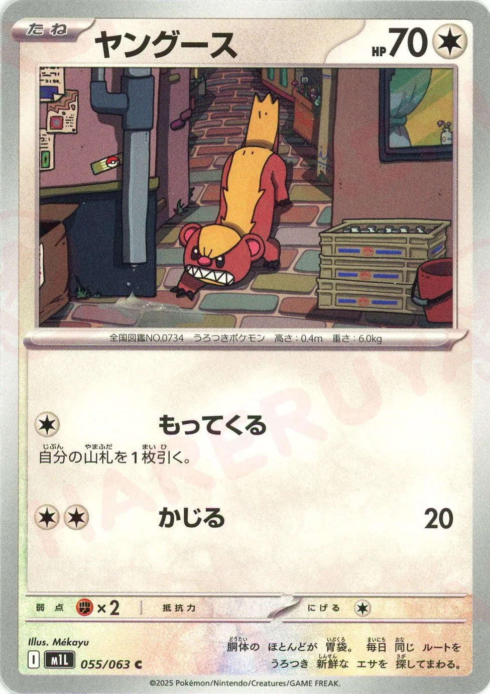 Pokemon Yungoos(C) 055/063 M1L Mega Brave Japanese