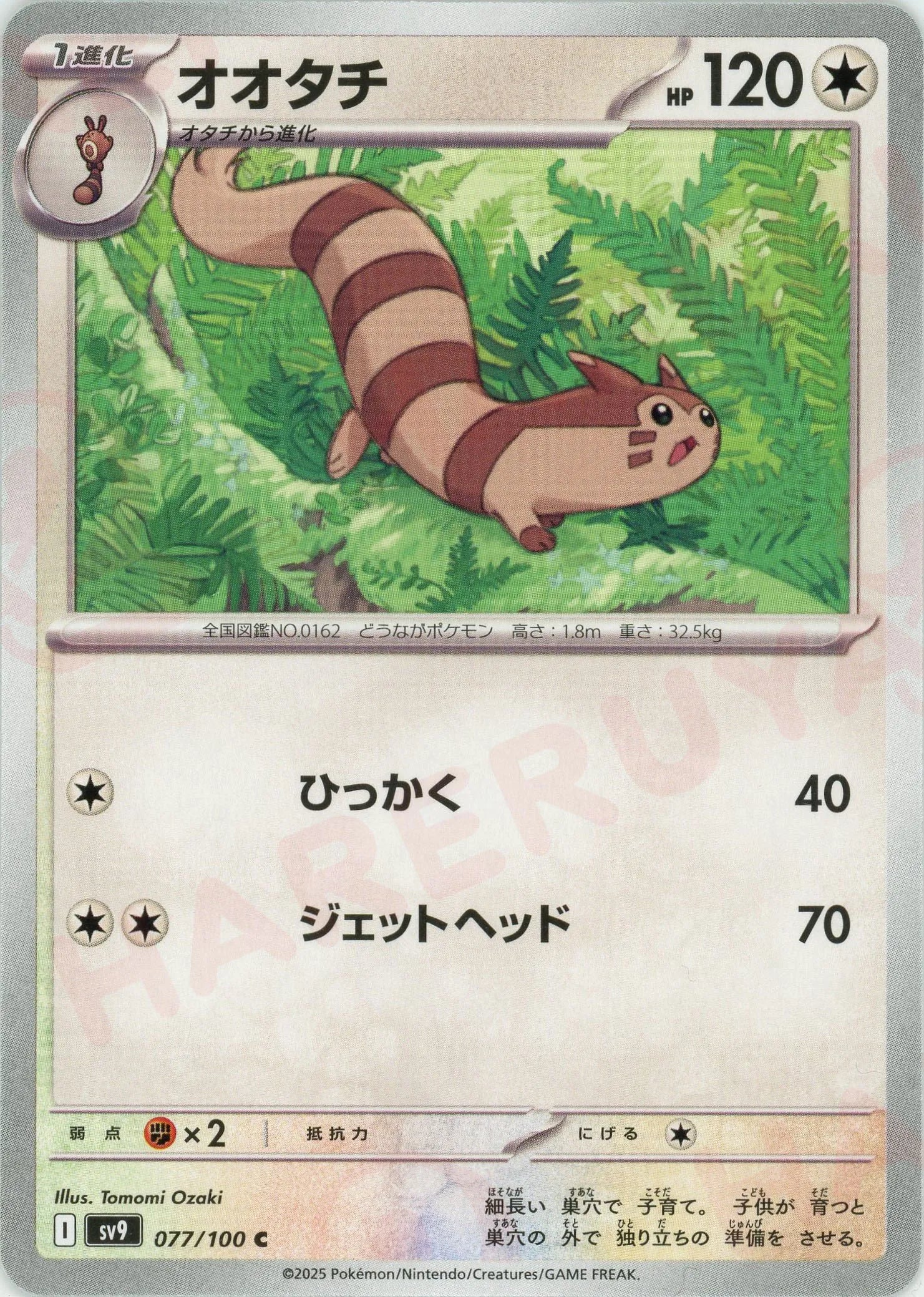 オオタチ(C){無}〈077/100〉