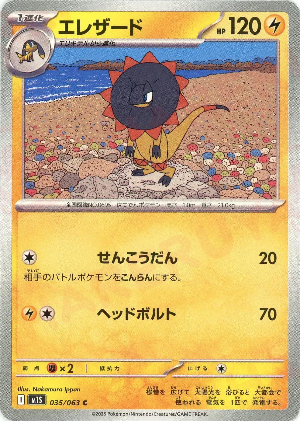 エレザード(C){雷}〈035/063〉