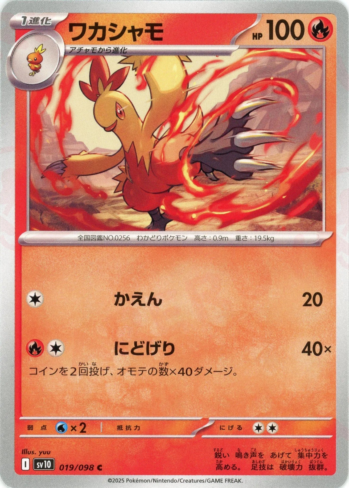 Pokemon Combusken(C) 019/098 SV10 The Glory of Team Rocket Japanese