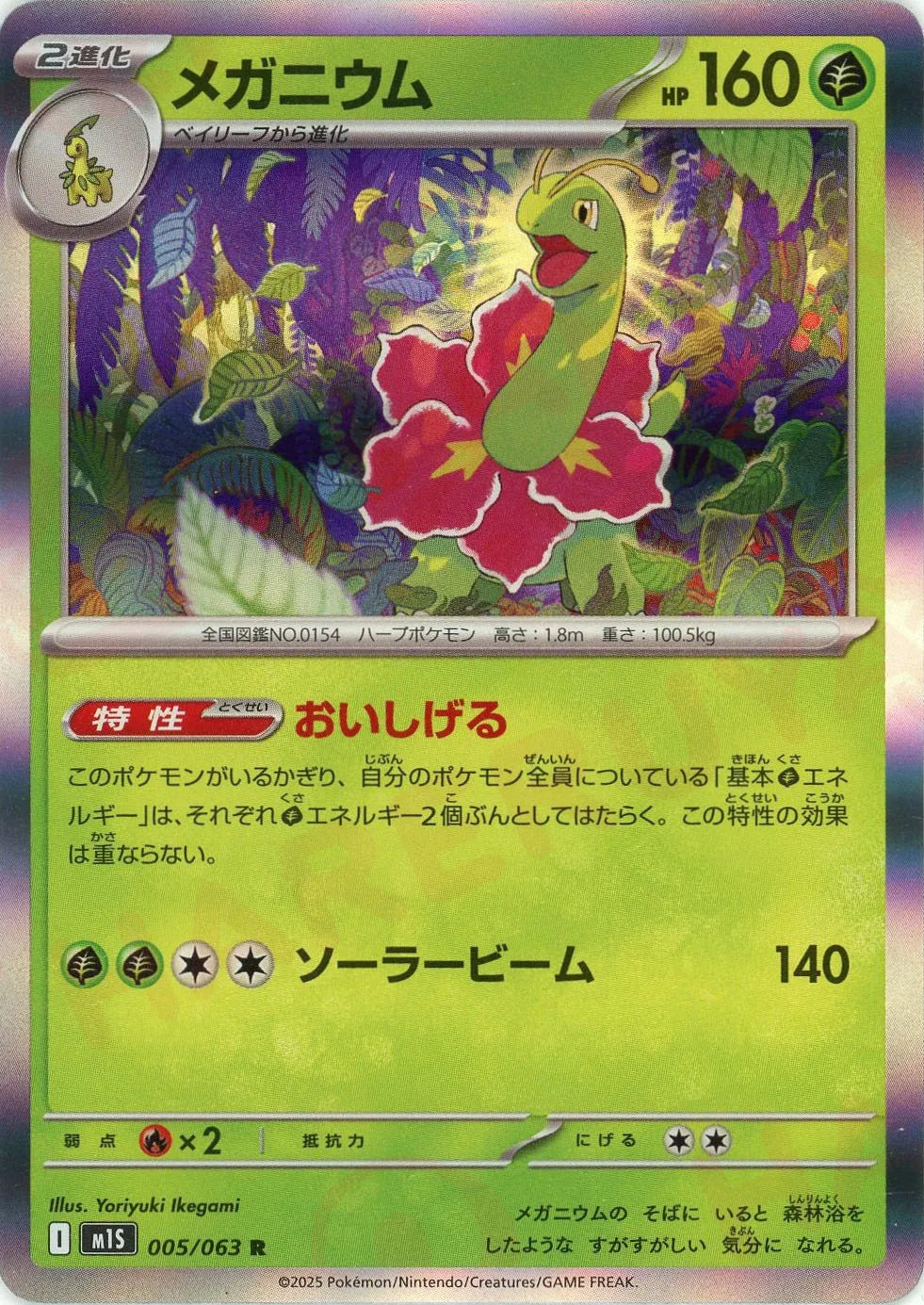 メガニウム(R){草}〈005/063〉