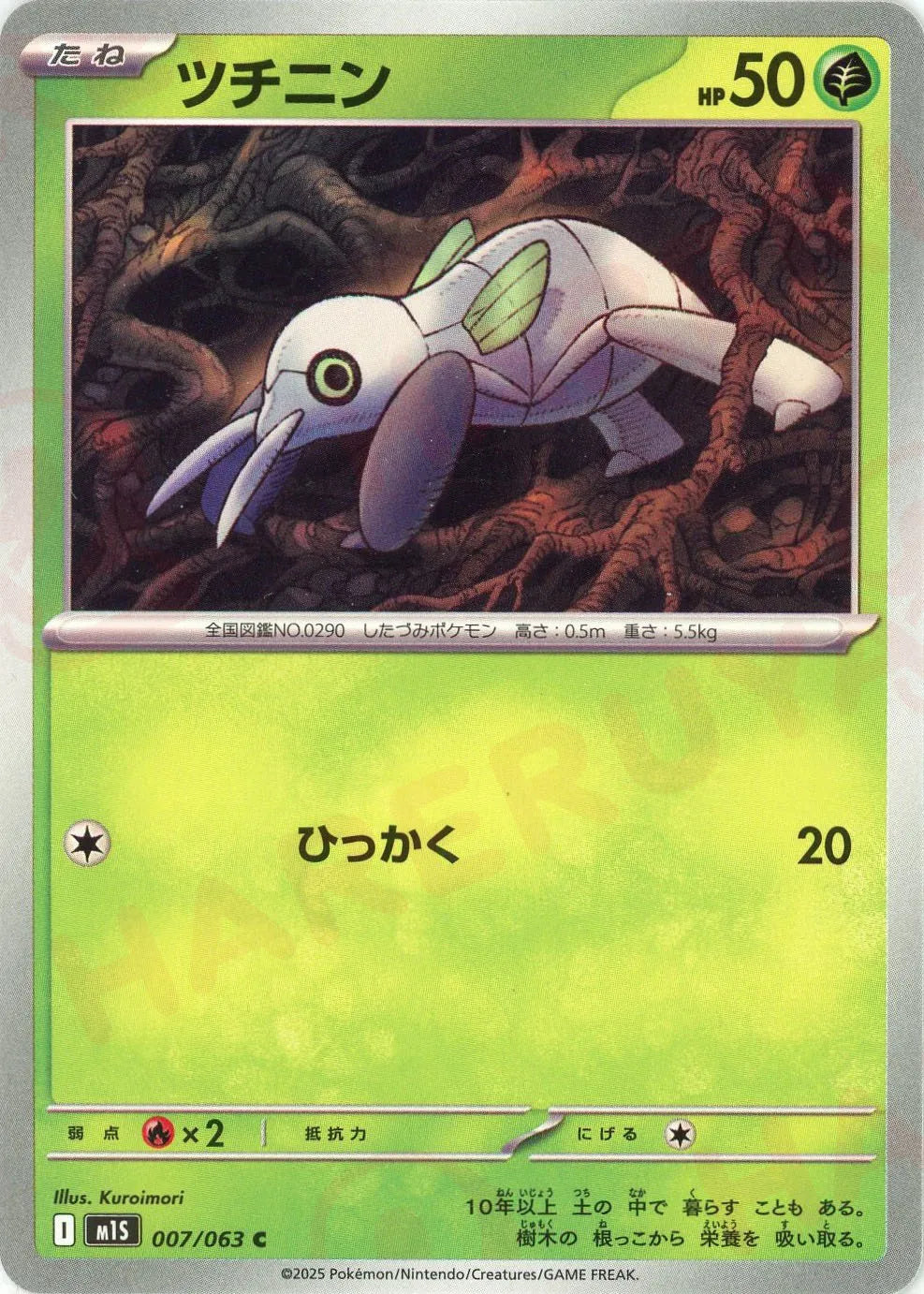 ツチニン(C){草}〈007/063〉