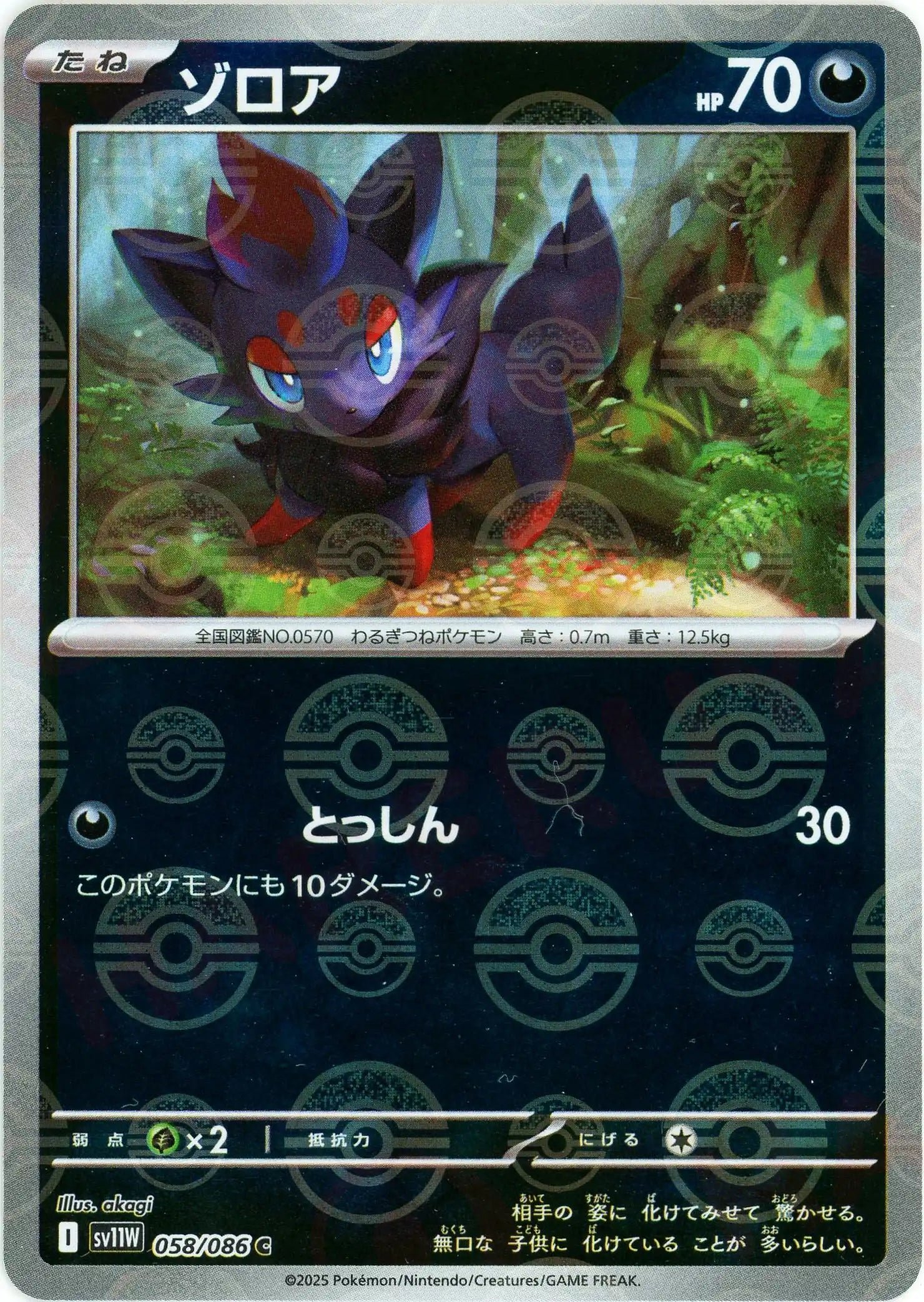 ゾロア:モンスターボールミラー(C){悪}〈058/086〉